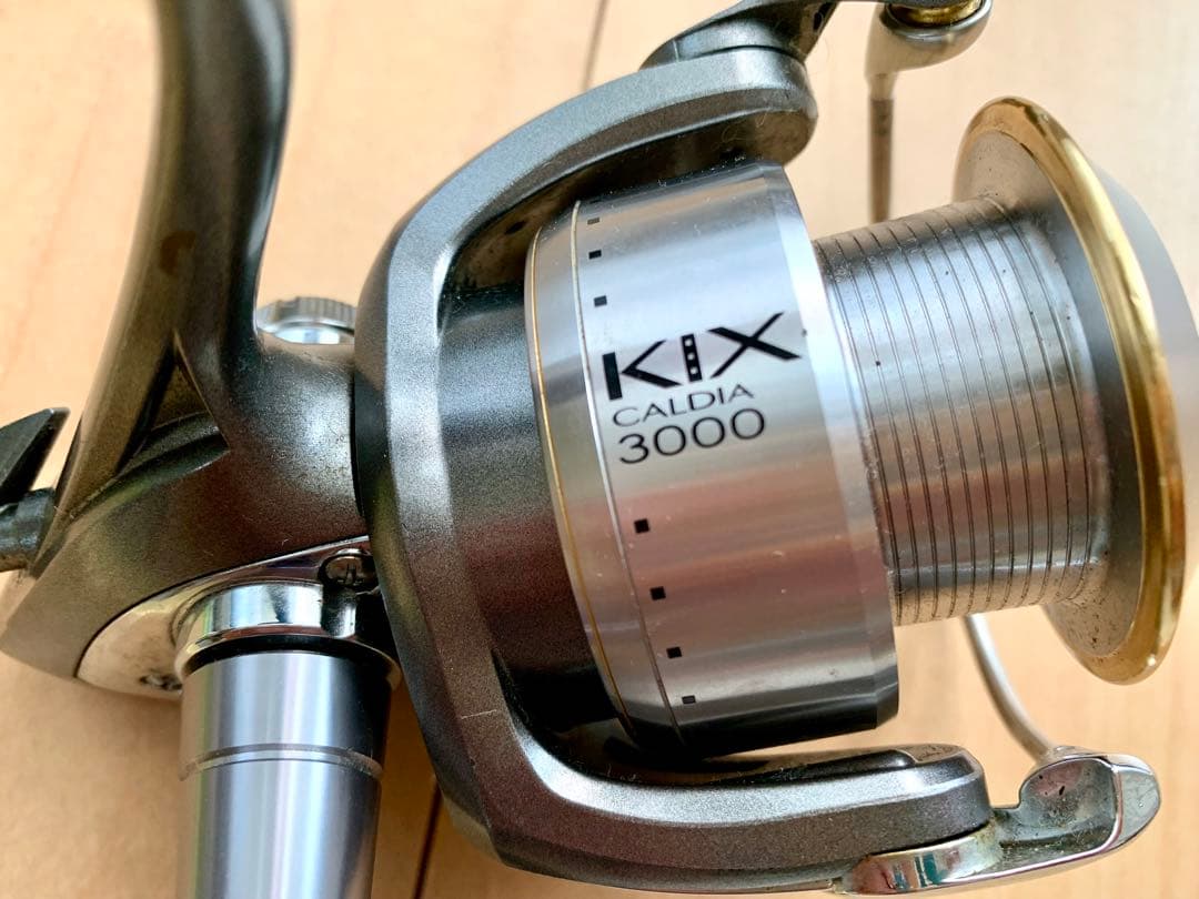 DAIWA ダイワ CALDIA KIX 3000