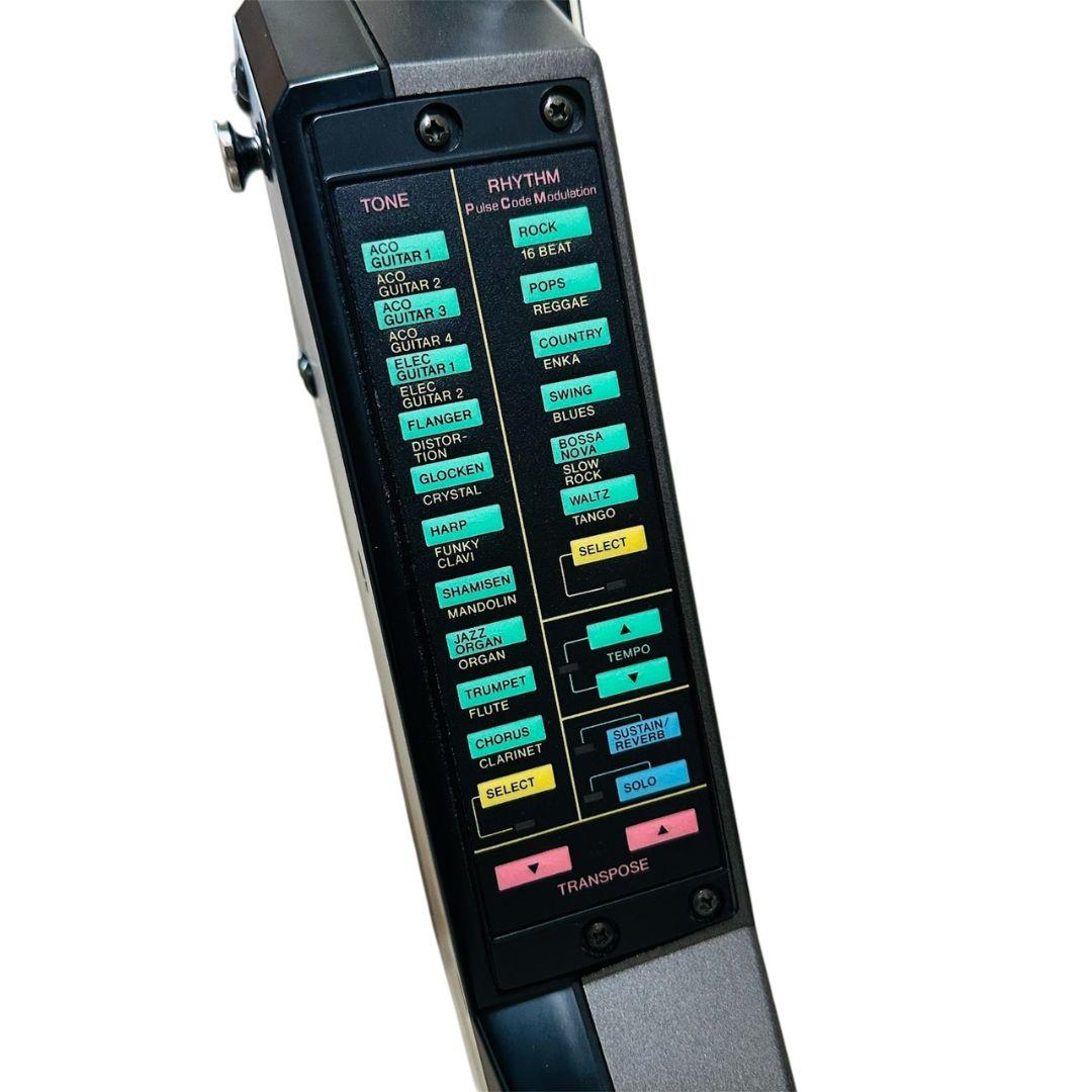 tc01 CASIO DIGITALGUITAR DG-20 本体