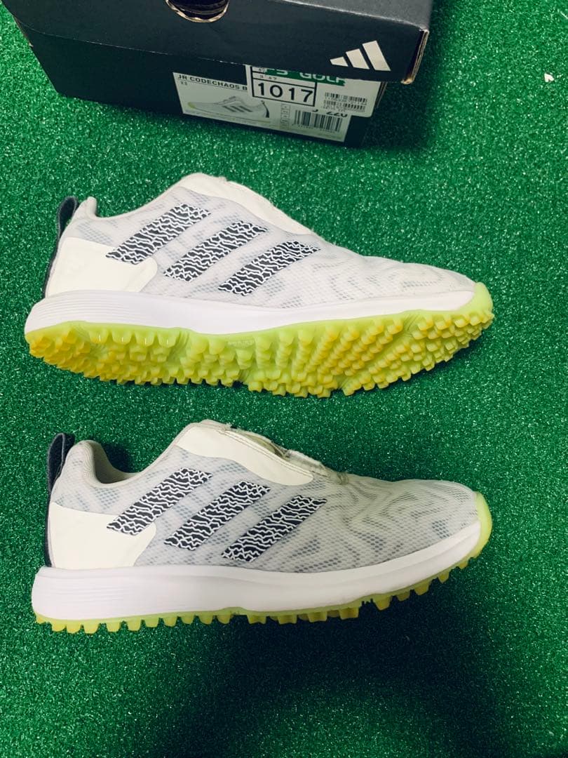 adidas コードカオス　ゴルフシューズ　22.0㎝　レディース　ジュニア