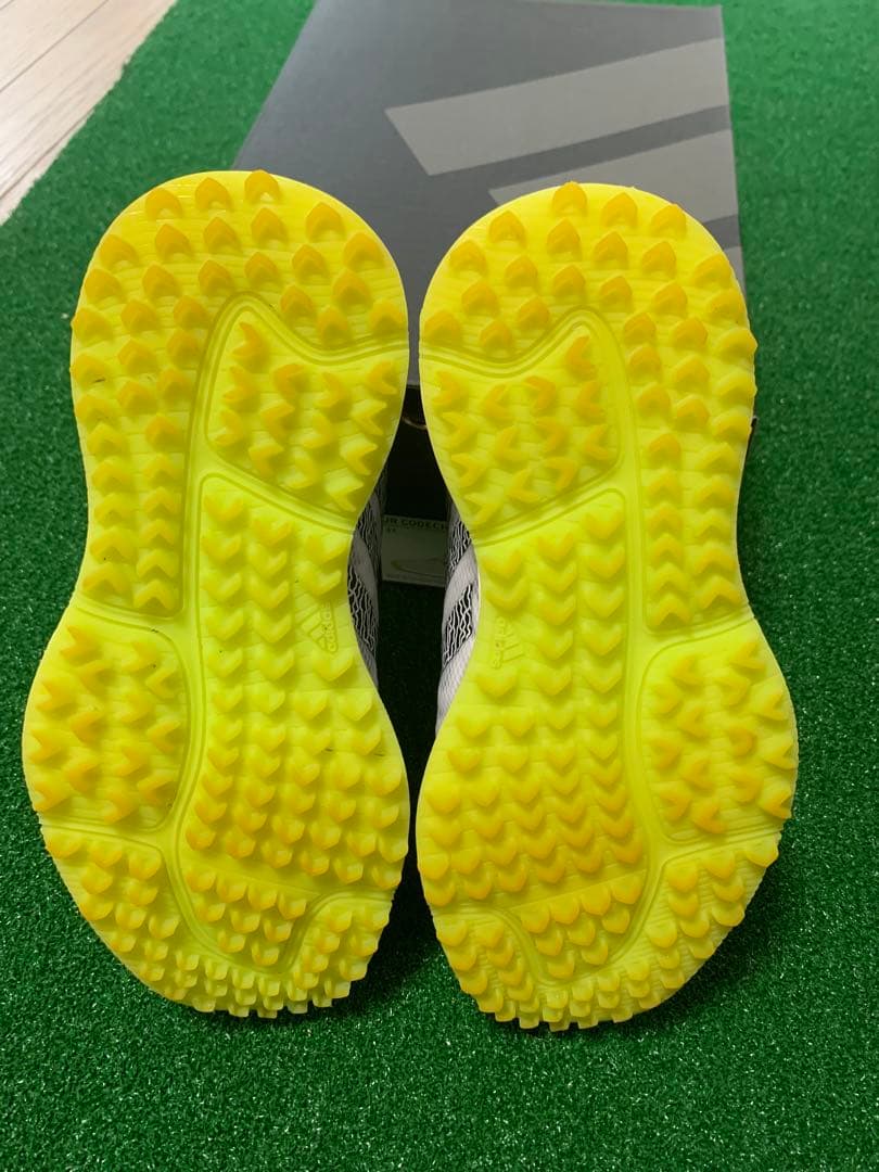 adidas コードカオス　ゴルフシューズ　22.0㎝　レディース　ジュニア