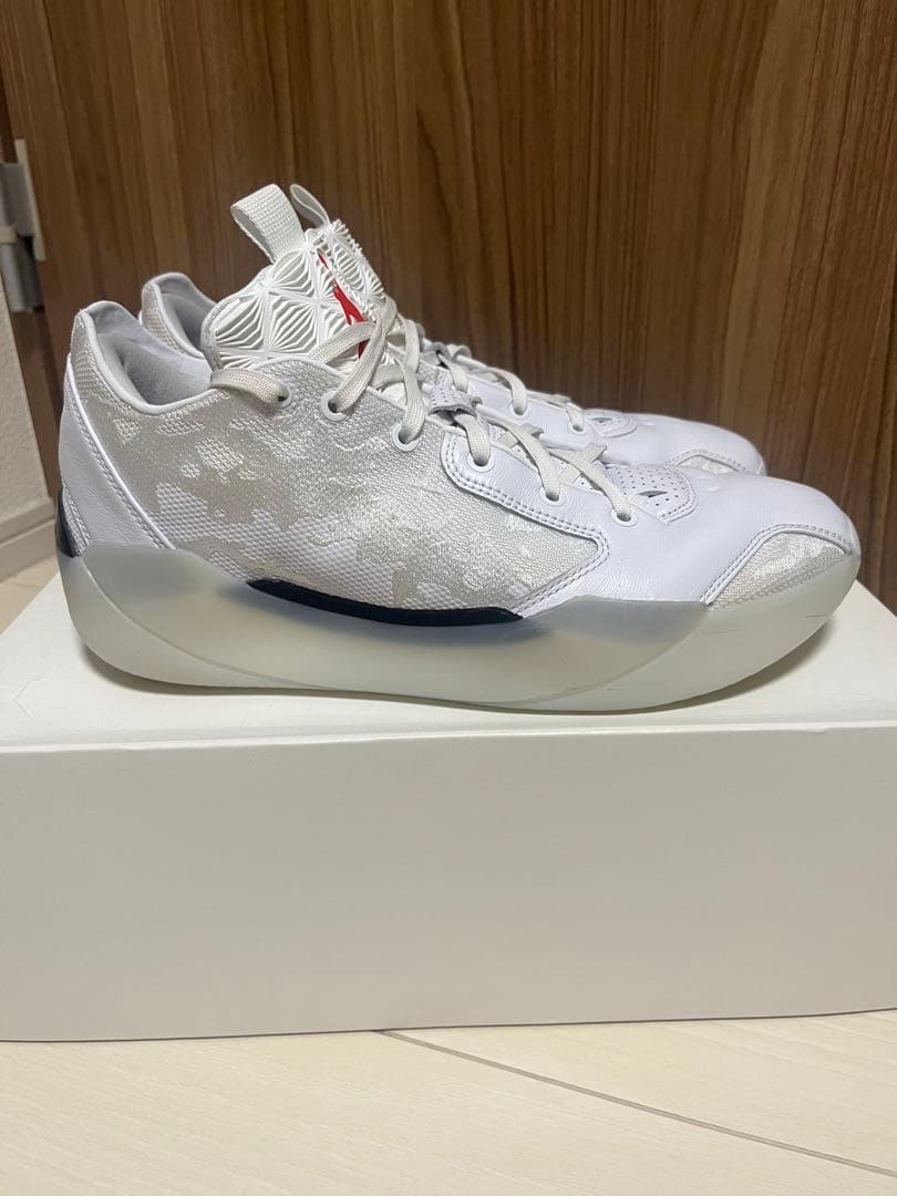 シューズ(男性用) AIR JORDAN 39 29cm US11