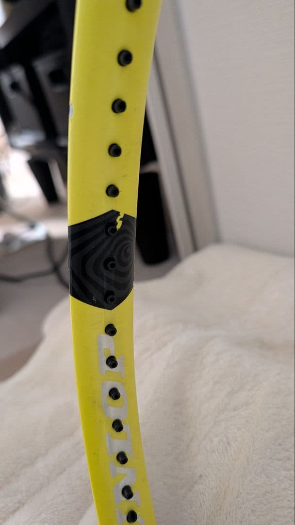 ダンロップ(DUNLOP) テニス 硬式テニスラケット SX300 2本セット