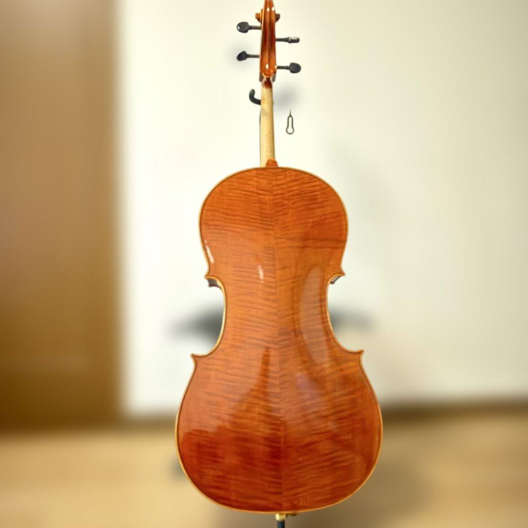 【美品】Pygmalius Derius Giapponese 4/4 チェロ