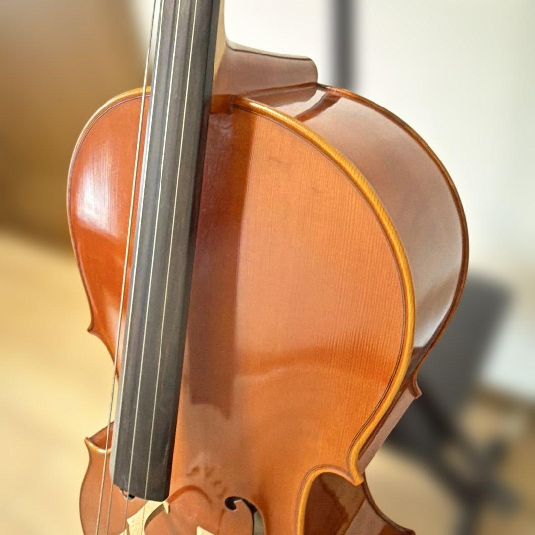 【美品】Pygmalius Derius Giapponese 4/4 チェロ