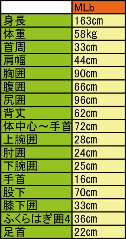 国内生産ALL3mフルスーツ/クラッシックウェットスーツ/レディースMLbサイズ