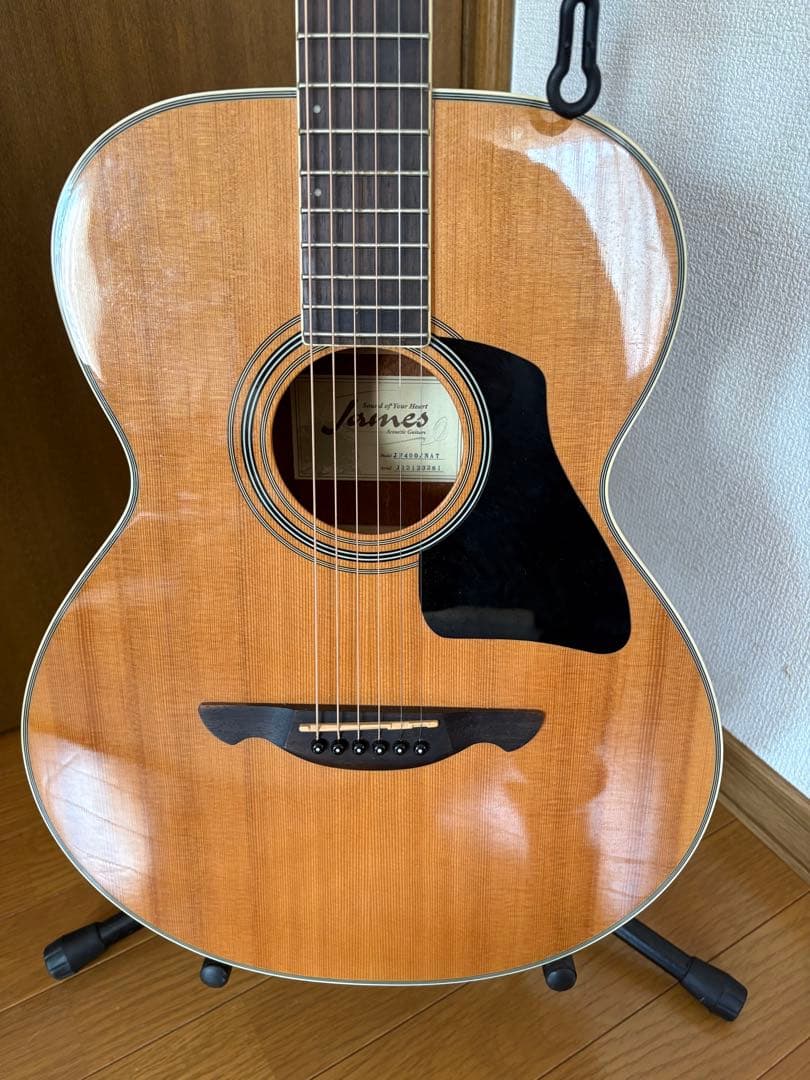 James JF400/NATアコースティックギターセミハードケース