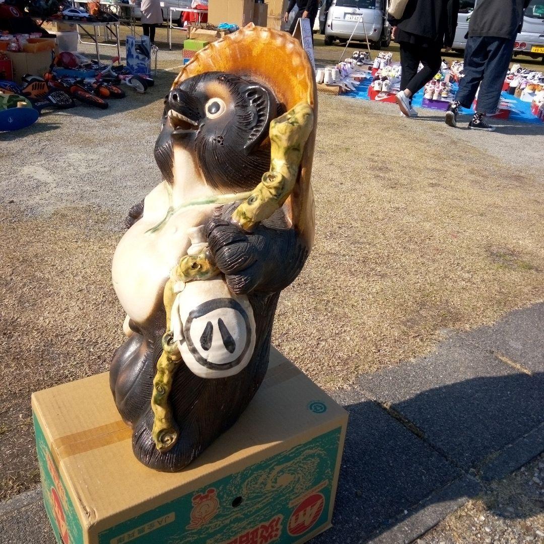 狸大型