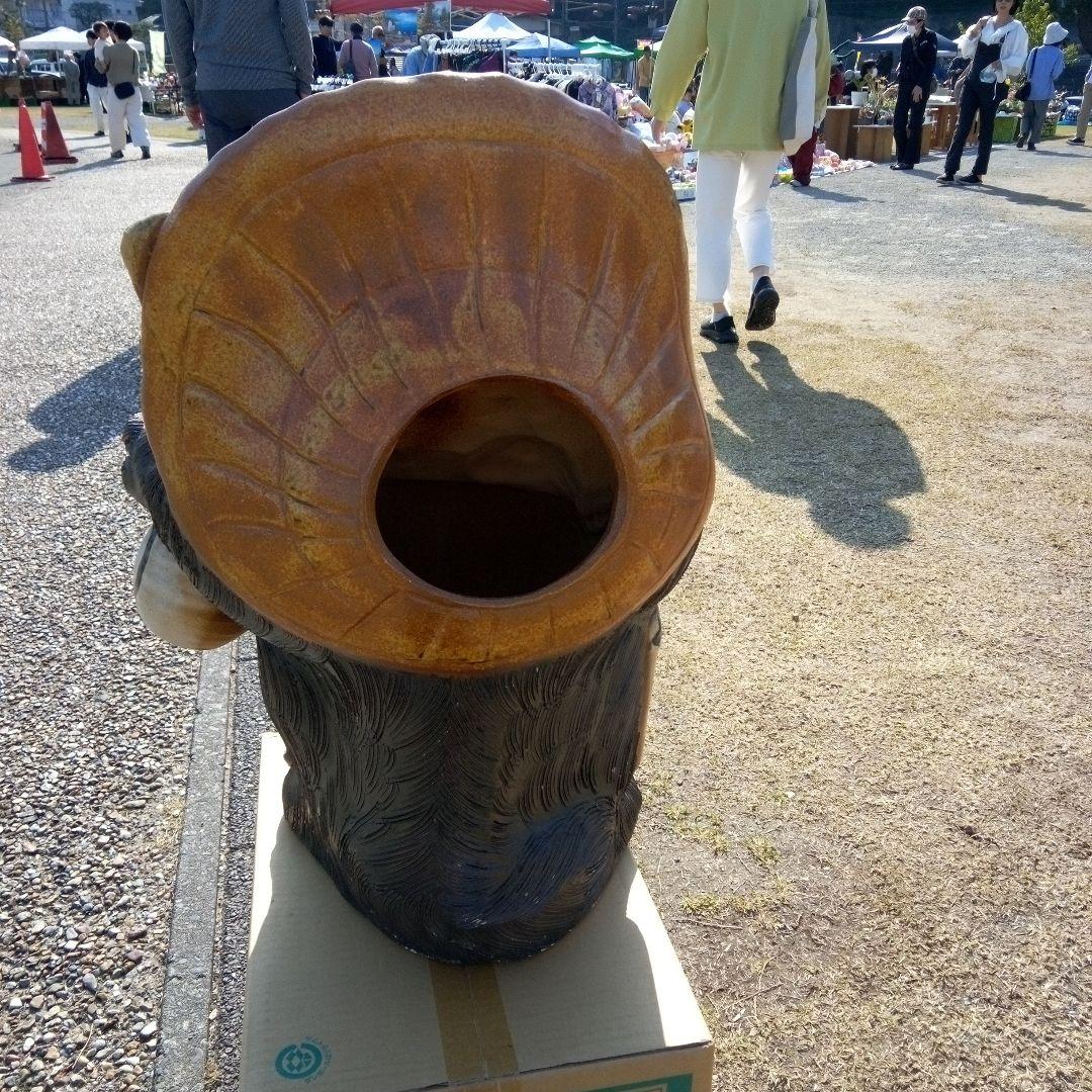 狸大型