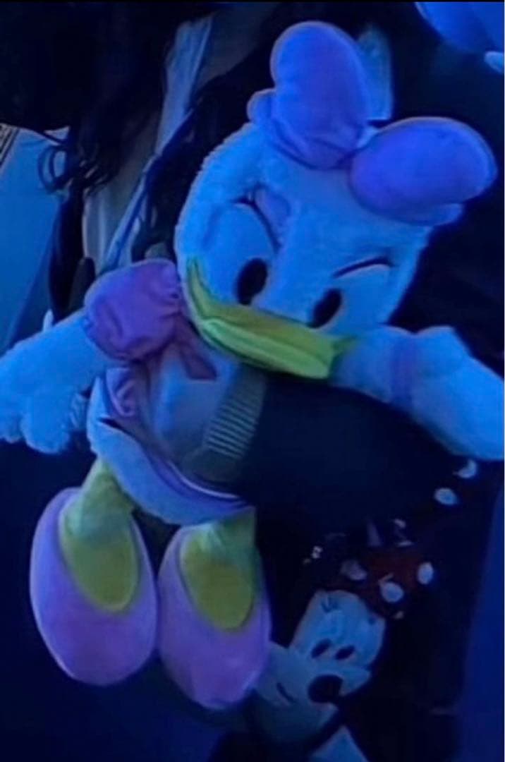 デイジーダック ぬいぐるみ 約50cm