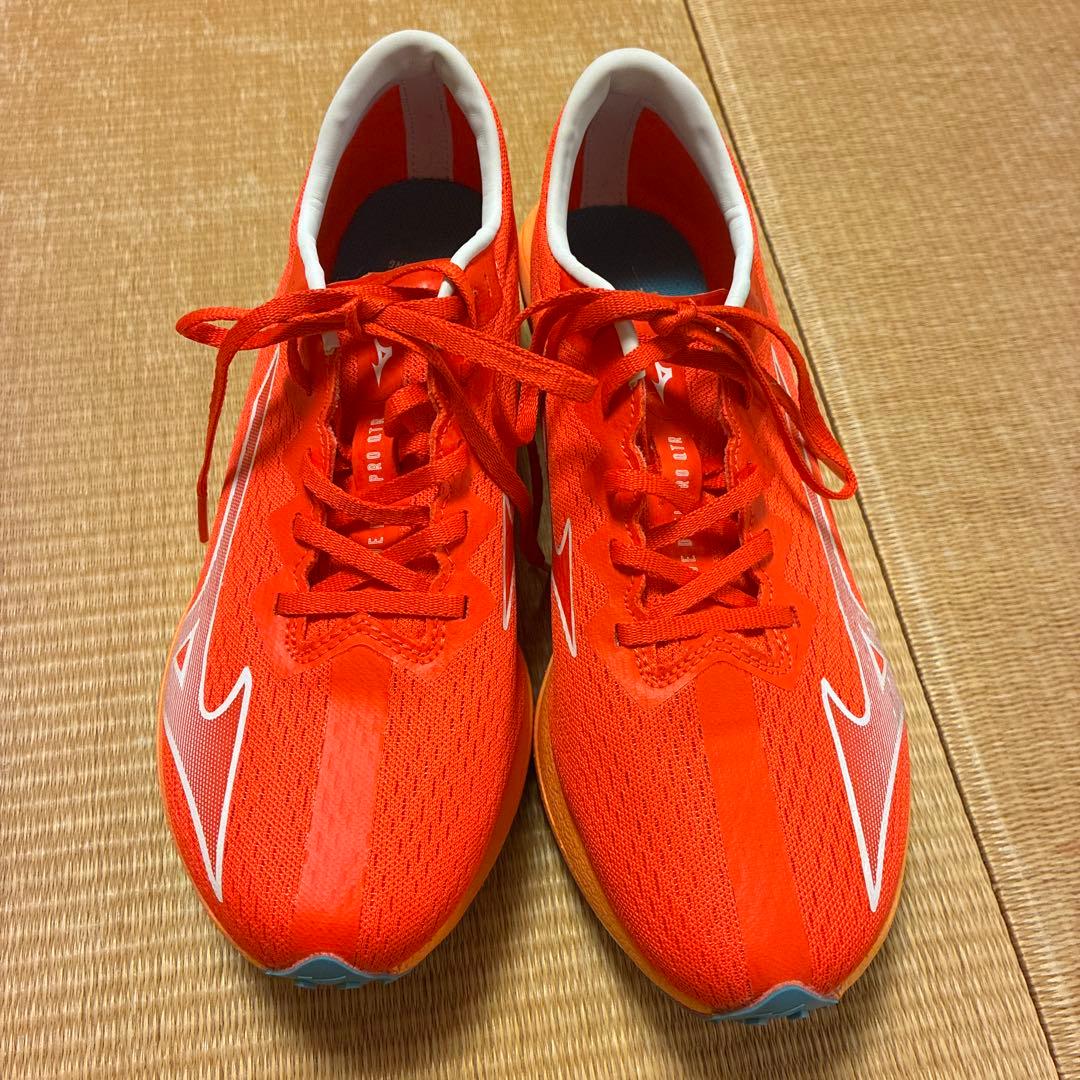Mizuno Wave Duel Pro Qtr 25センチ
