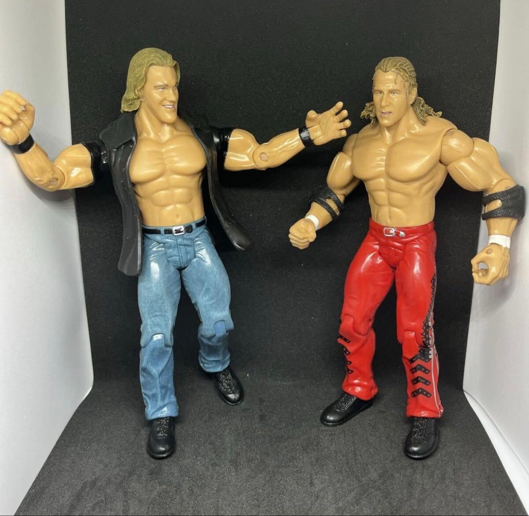 WWE フィギュア　セット　プロレスラー プロレスフィギュア マテル　エリート