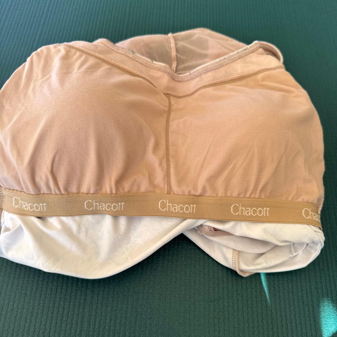 チャコット　アザミ　トップスM
