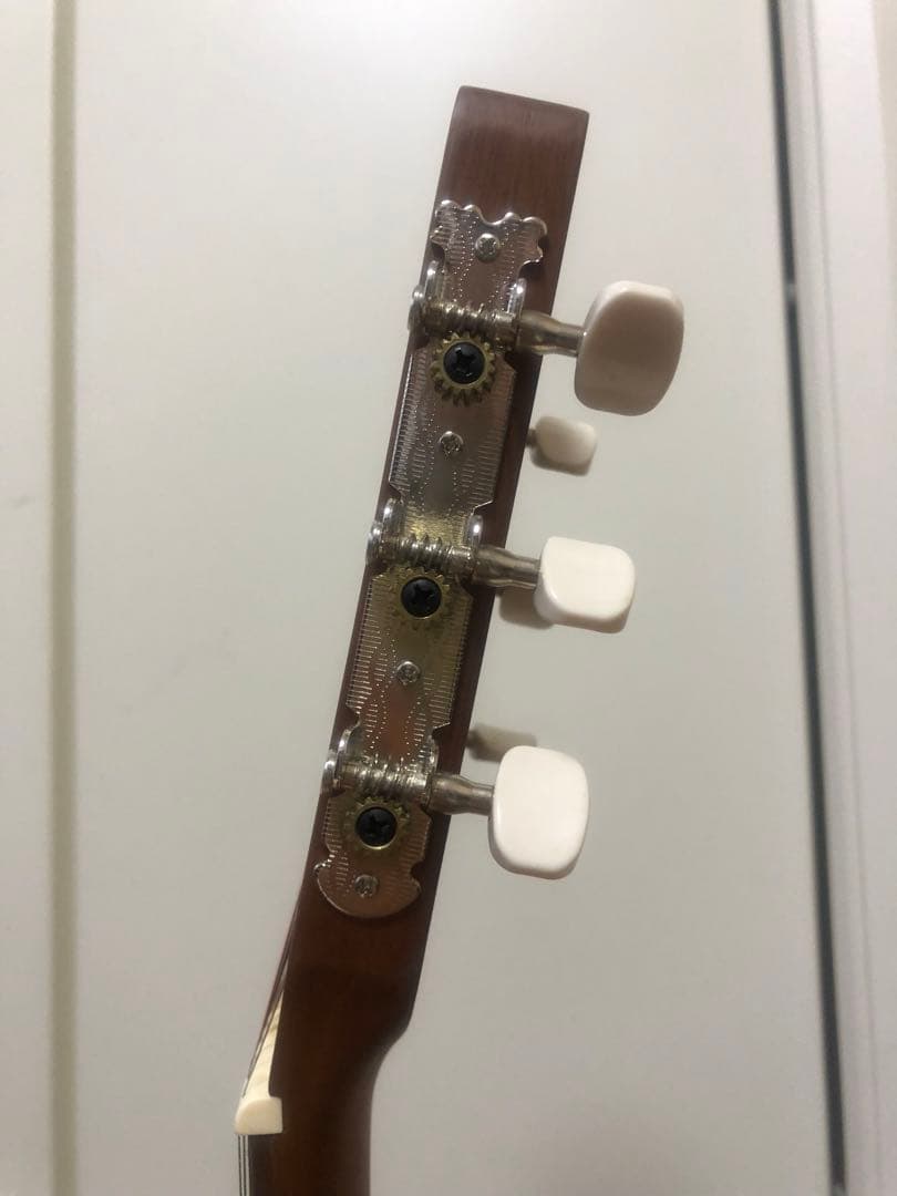 Aria ASA-18 N アコースティックギター