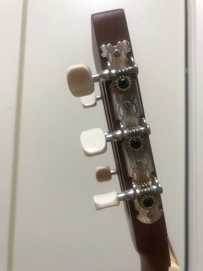 Aria ASA-18 N アコースティックギター