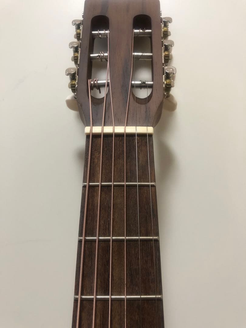 Aria ASA-18 N アコースティックギター