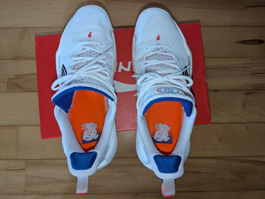 LI-NING SPEED 9 リーニン　バッシュ　　29.5cm