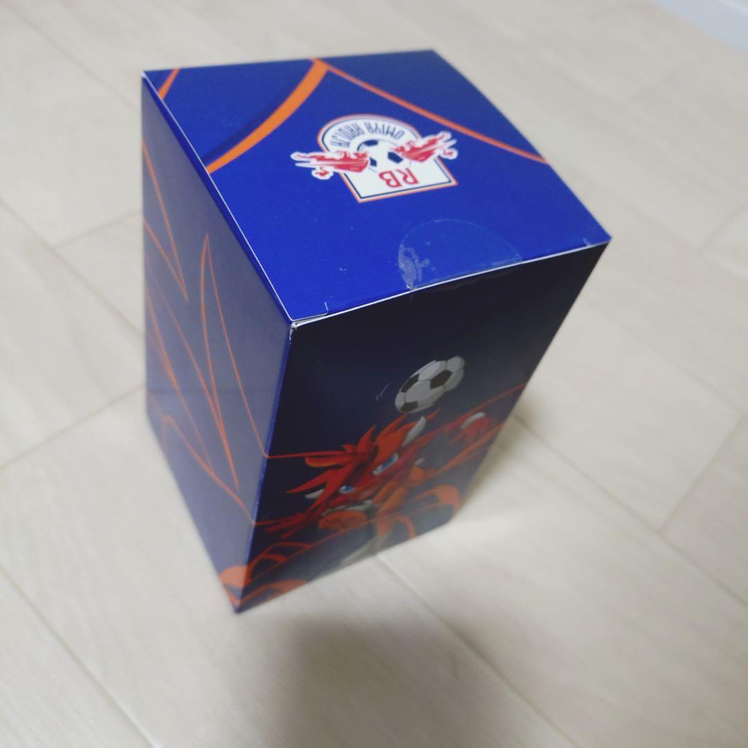 RB大宮アルディージャ 応援グッズセット【フリースポンチョ、クッション含む】