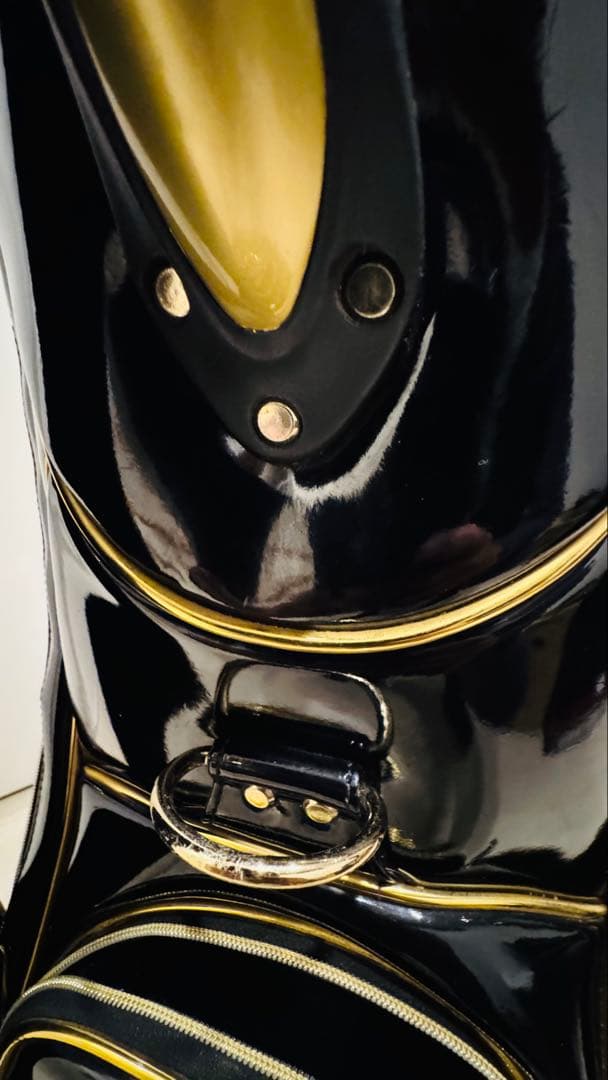 DynamicGoldツアーイシュー キャディバッグ に2種類のヘッドカバー付❗️