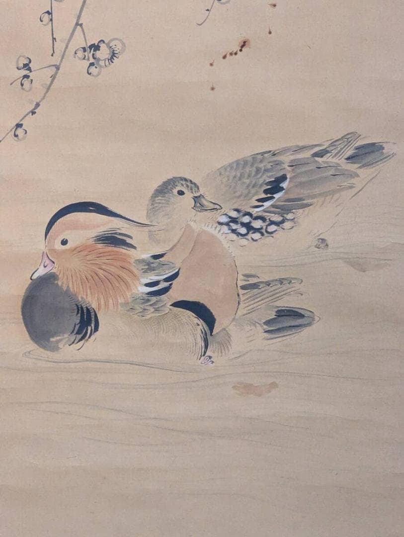 【真作】掛軸　梅花鴛鴦図　優雅な花鳥画　静謐な冬景色を描く花鳥図　共箱入　V19