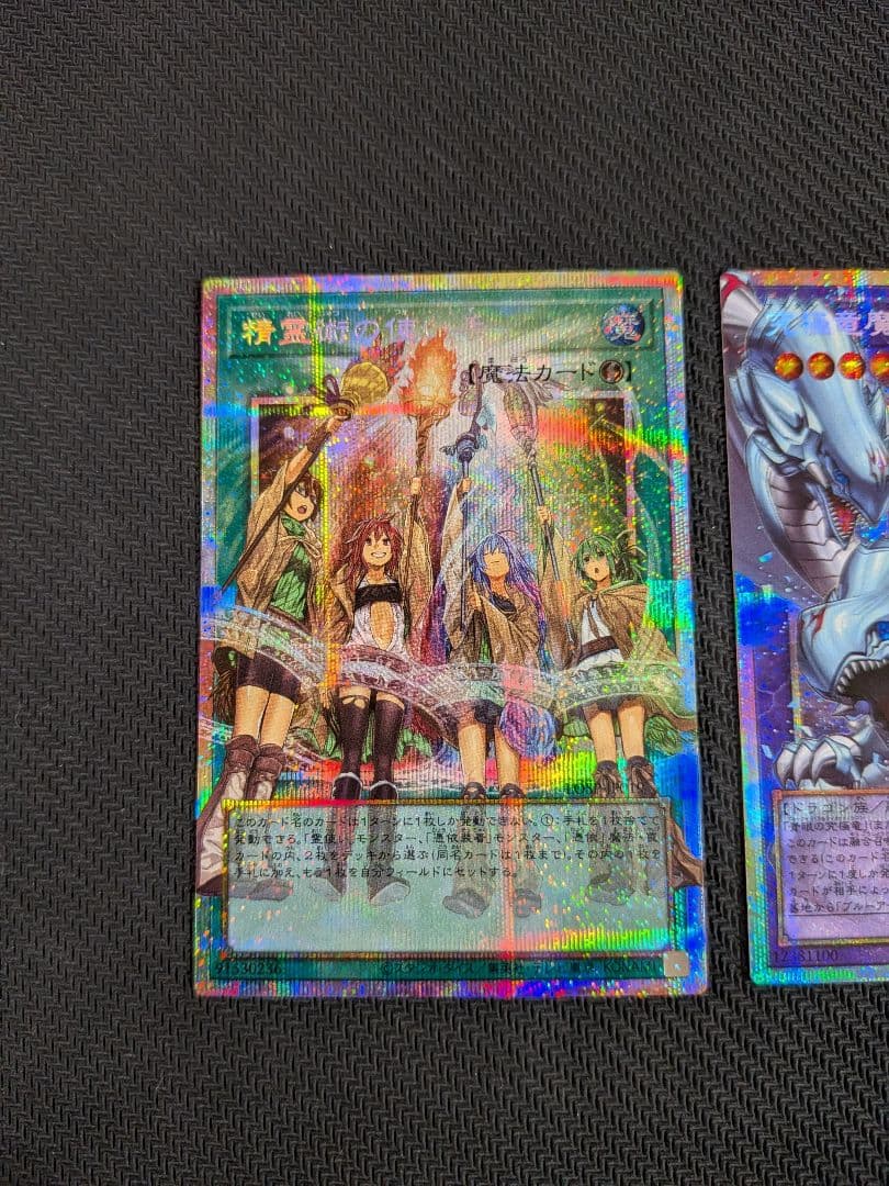 精霊術の使い手　究極竜魔導師　オーバーフレーム　プリシク　2枚セット
