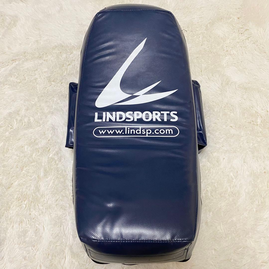 【美品】LINDSPORTS ヒットバッグ Aタイプ タックル バスケ 収納袋付