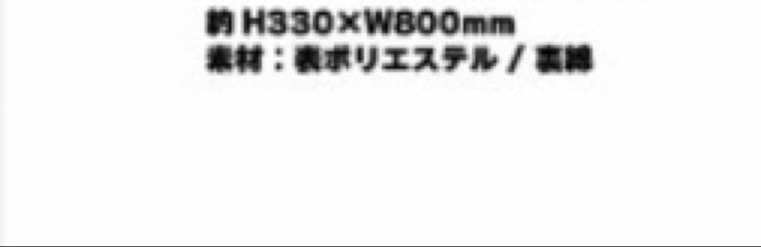 2026ヤクルトスワローズキャンプ　沖縄　つば九郎