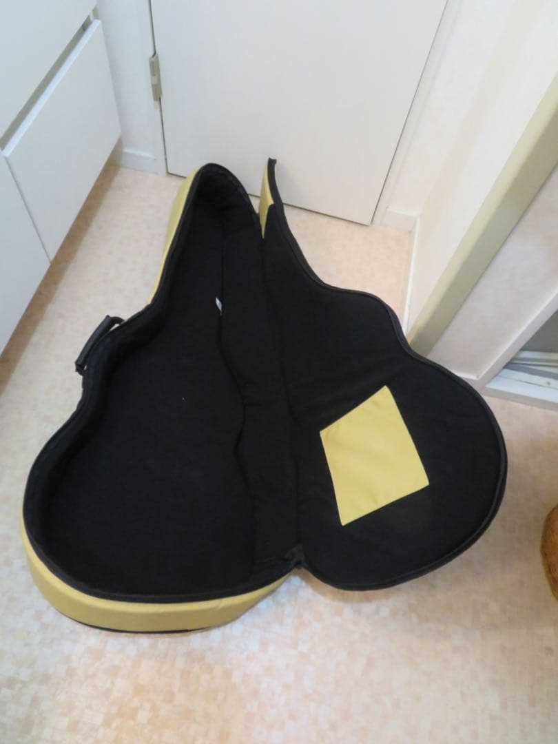 Gibson L-00 ブルースキング