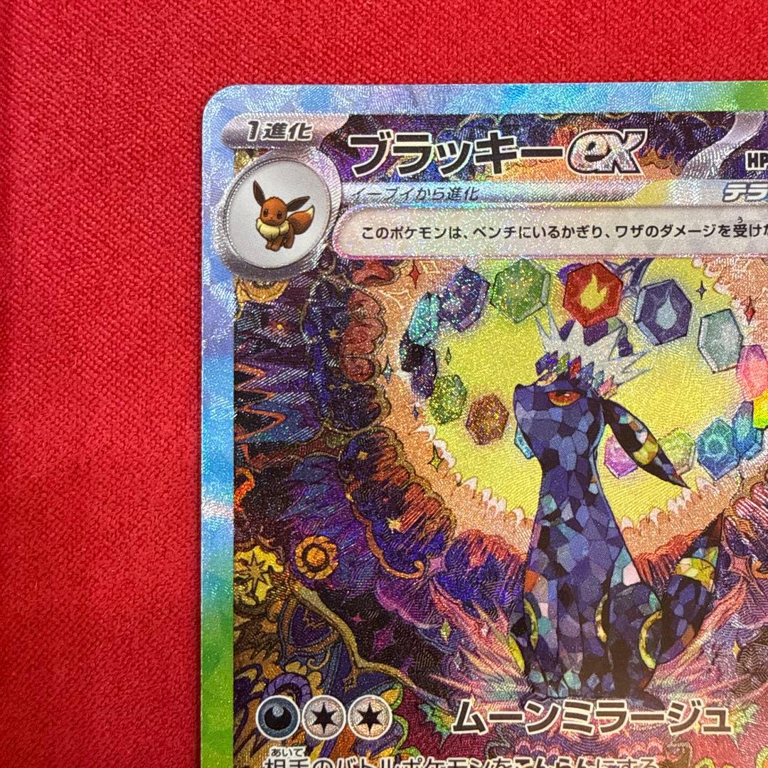 【美品・センタリング良】ブラッキーex SAR：テラスタルフェス 217/187