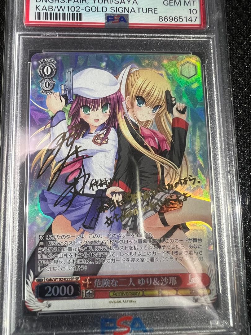 ヴァイスシュヴァルツPSA10危険な二人