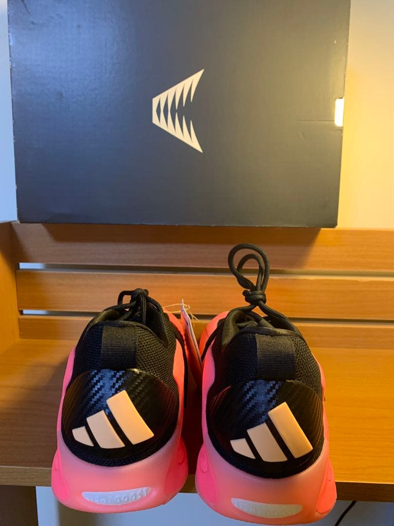 シューズ(男性用) Adidas AE1 Low Mural