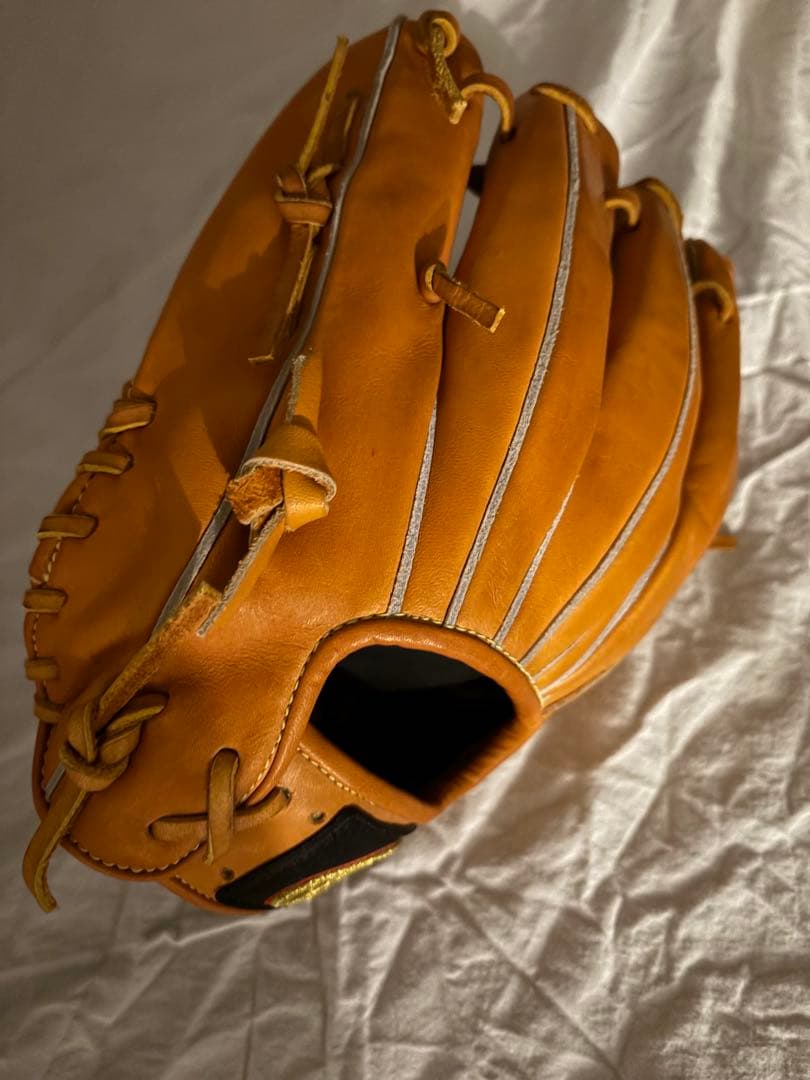 ドナイヤ 内野用グローブ