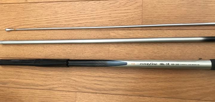 ダイワインターラインHZ潮流100号350cm