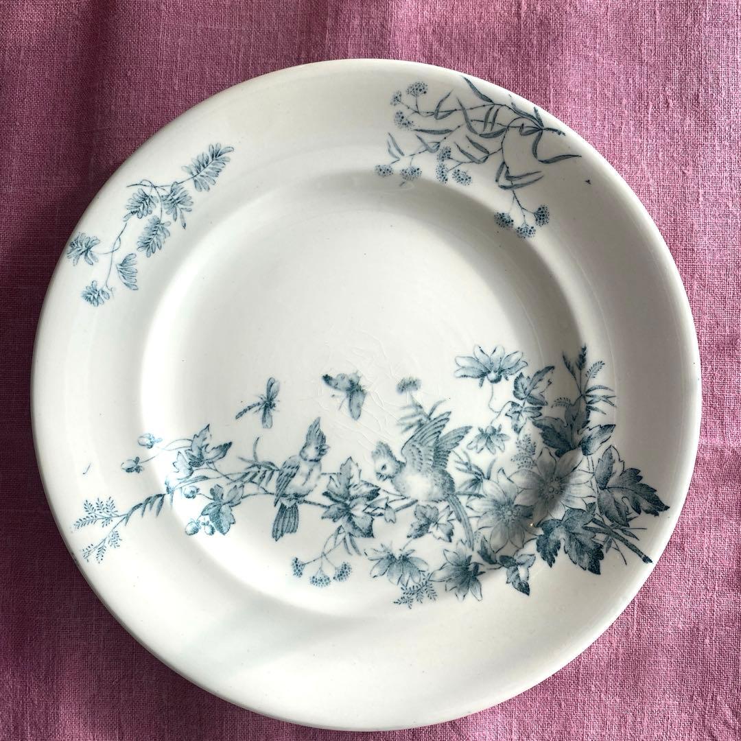 ロンウィ ミニョン Longwy mignon プレートツバメ　小鳥　鳥