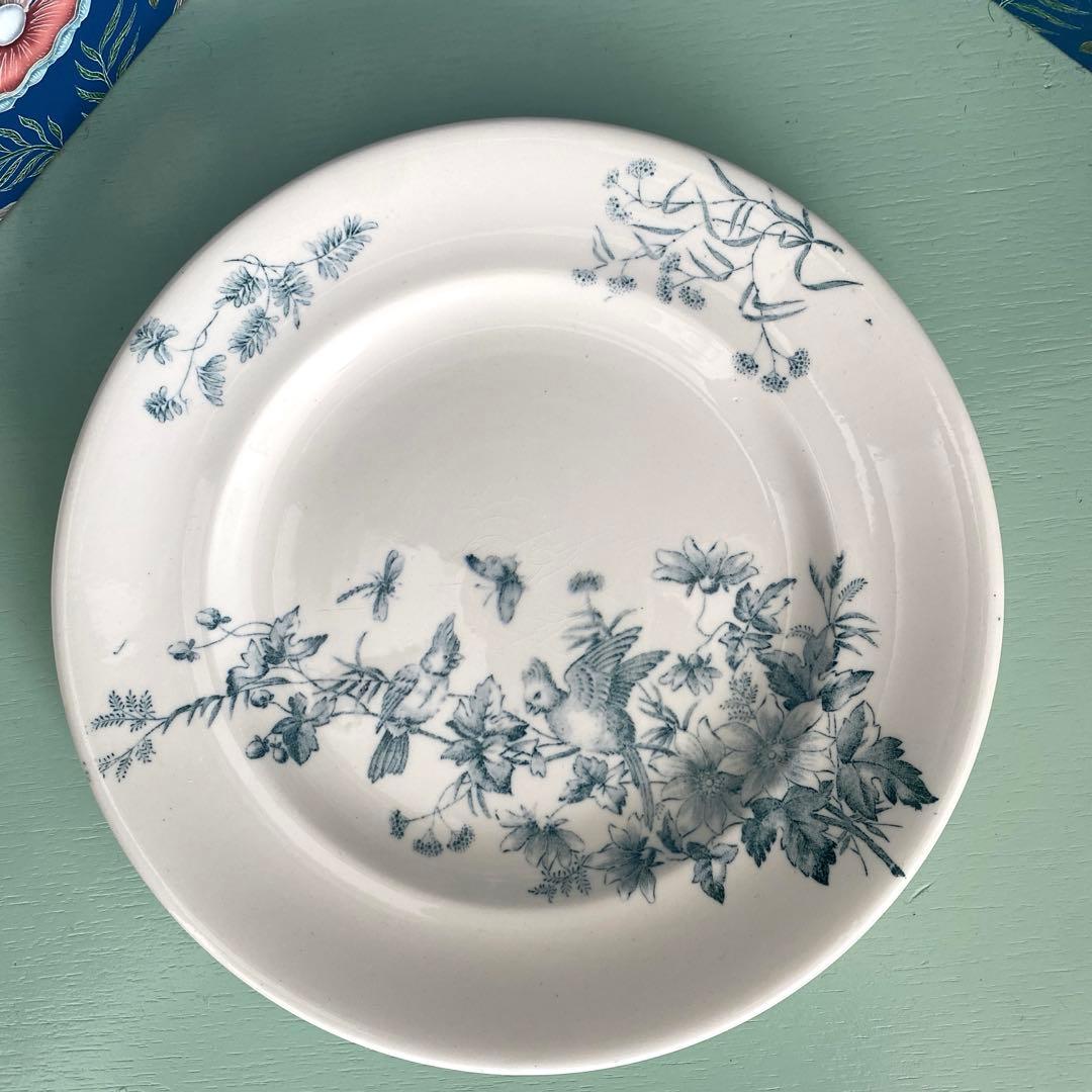 ロンウィ ミニョン Longwy mignon プレートツバメ　小鳥　鳥