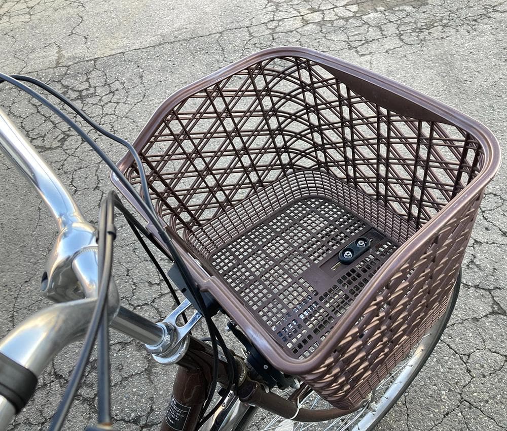 PELTECH 電動アシスト 低床三輪自転車 20/16インチ◆TDR-163L