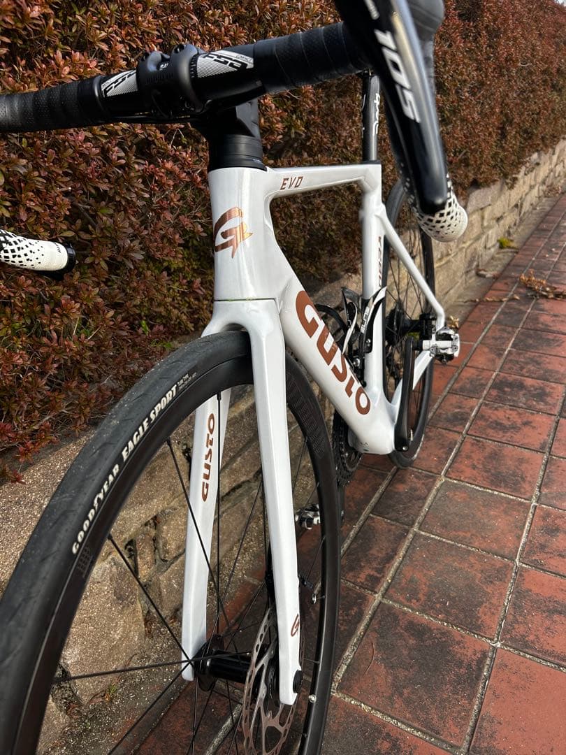 gusto COBRA EVO DB ELITE フレーム新品