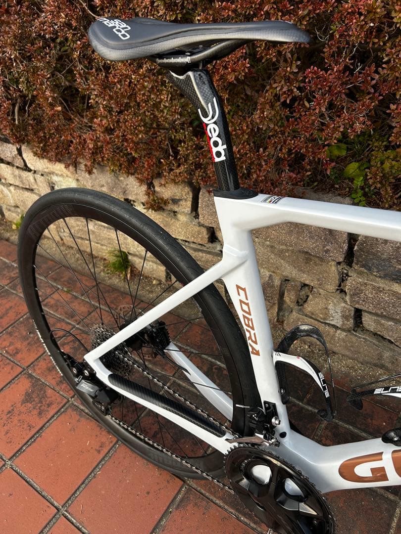 gusto COBRA EVO DB ELITE フレーム新品