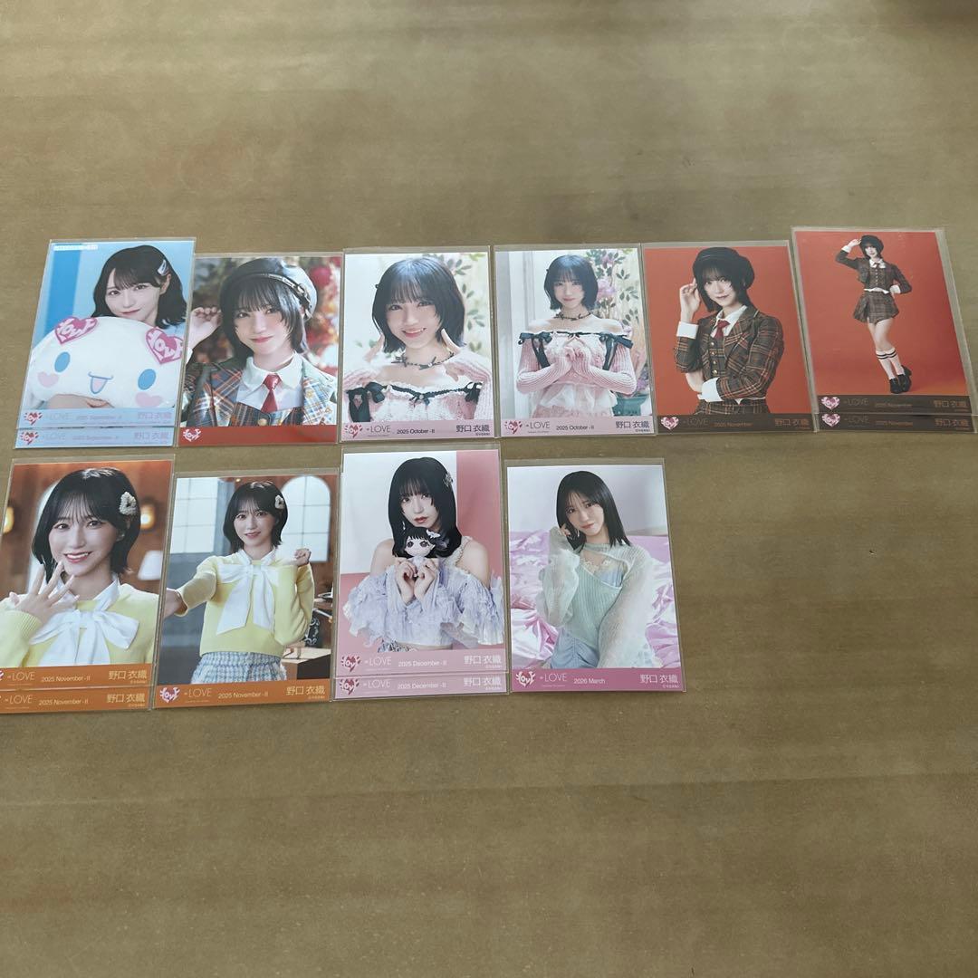 野口衣織 生写真 バラ⑬