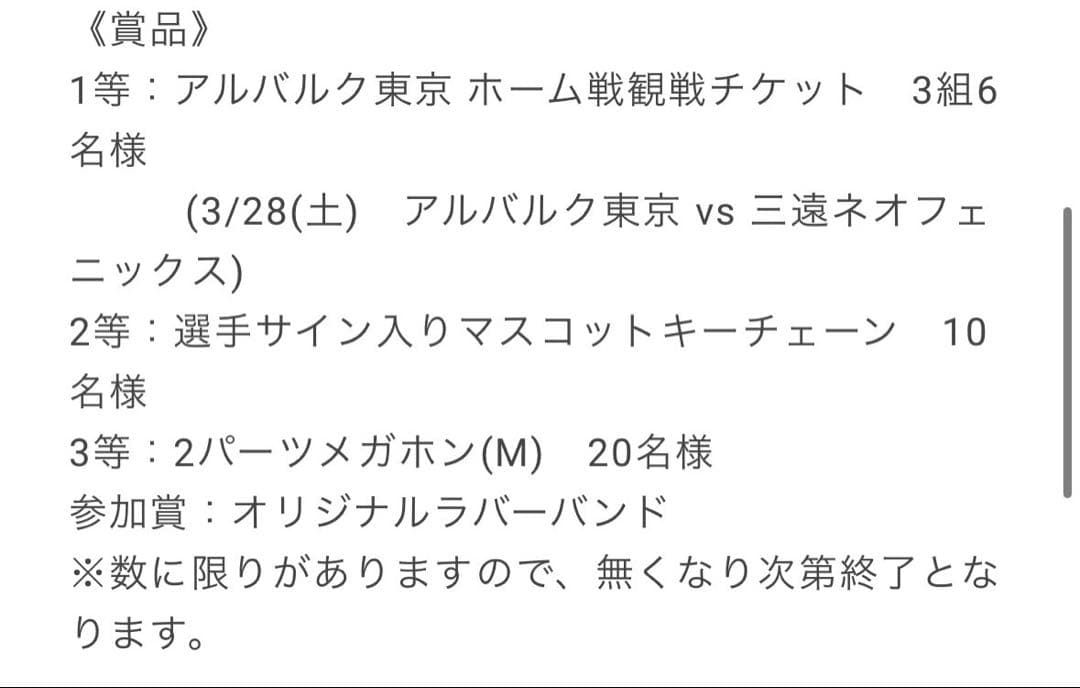 【直筆サイン入り・希少】アルバルク東京 ルーク チェーン付きぬいぐるみ