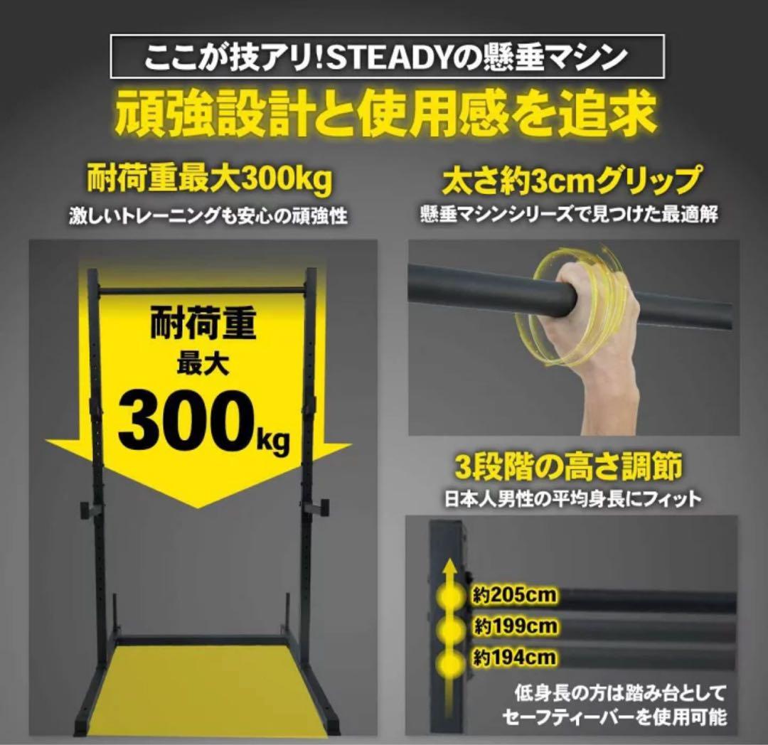 懸垂マシン ラック型 耐荷重300kg 25段階