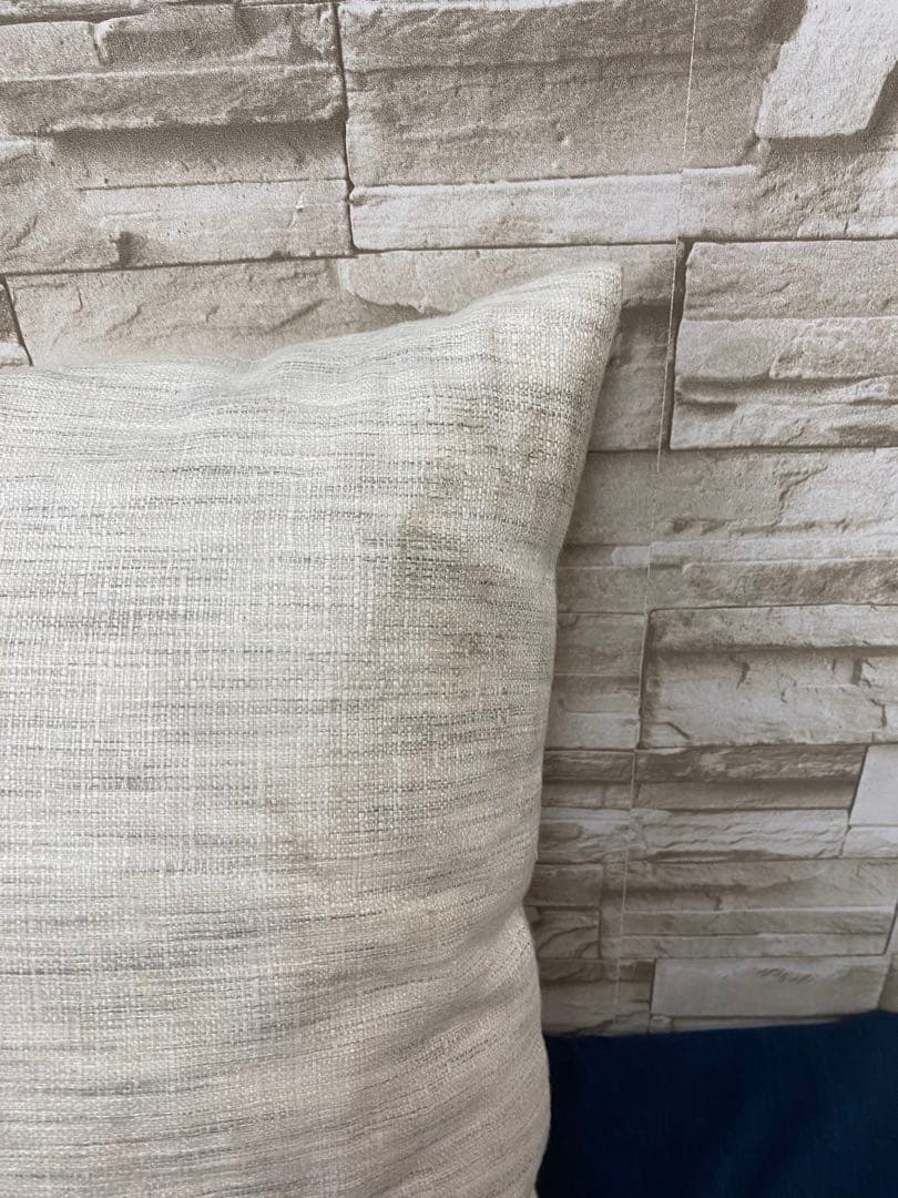 CASSINA カッシーナ　イクスシー　クッション　2個セット