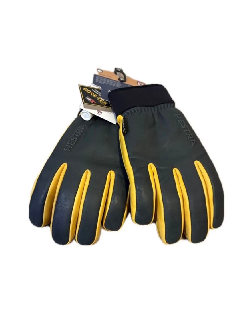 HESTRA Alpine Pro ゴアテックス レザーグローブ
