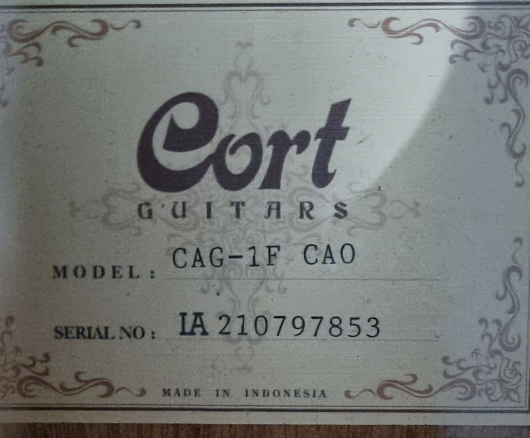 Cort CAG-1F 単板風サウンド 小ぶりボディ 弦高低め 美品