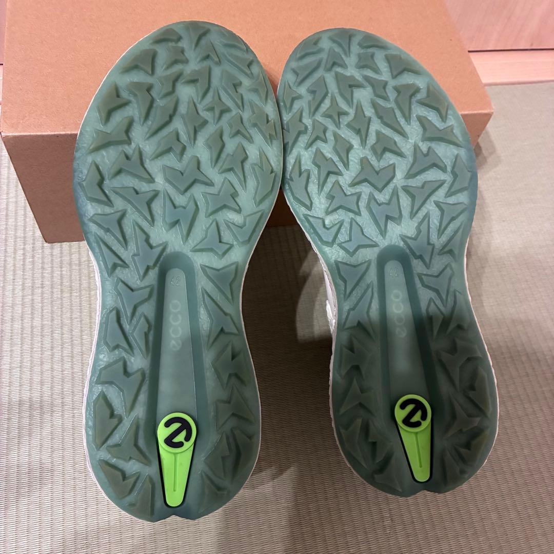 エコー ecco BIOM H5 BOA メンズ ゴルフシューズ 26