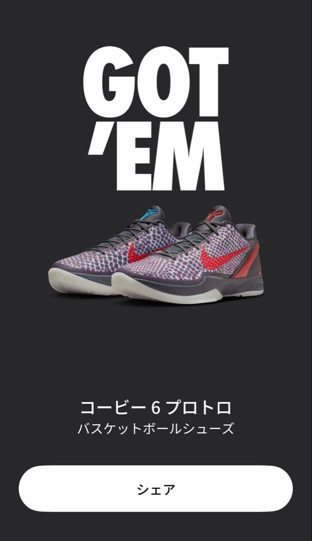 Nike Kobe 6 Protro All-Star 3D コービー6 28㎝