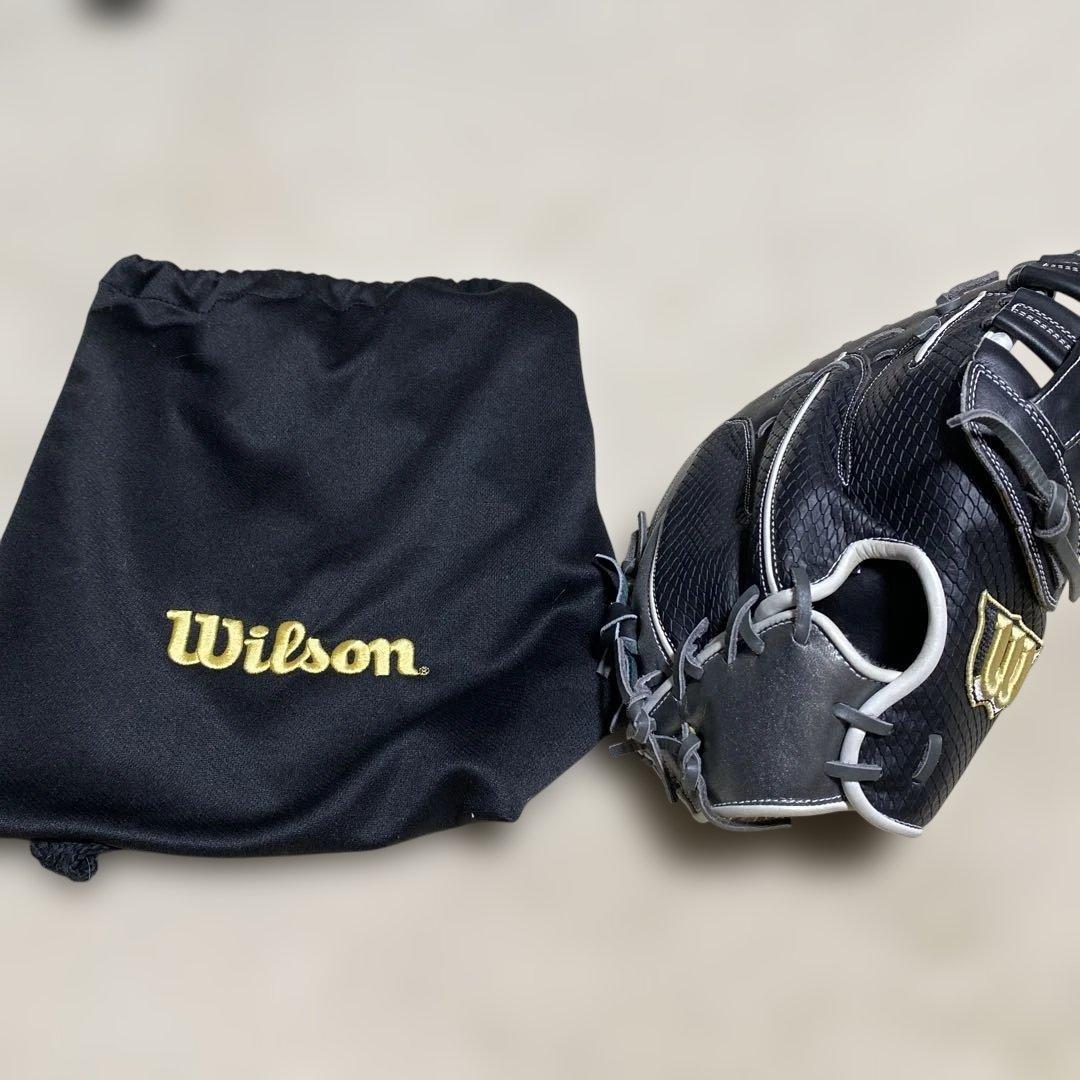 Wilson 軟式グローブ ファーストミット　The Wannabe Hero