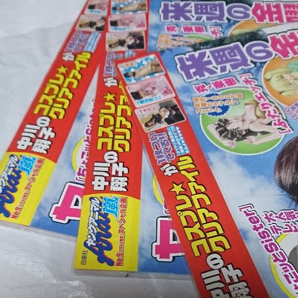 ヤングアニマル中川翔子クリアファイル３種未開封