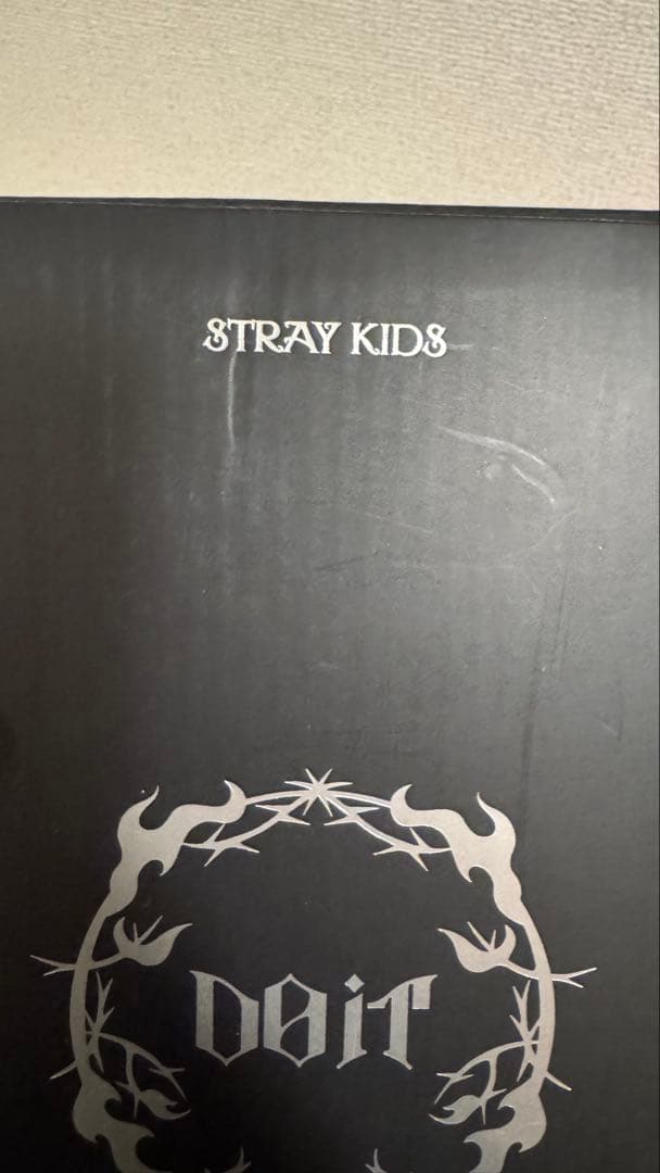 Stray Kids Doit 中国POPUP タンブラー　リービット