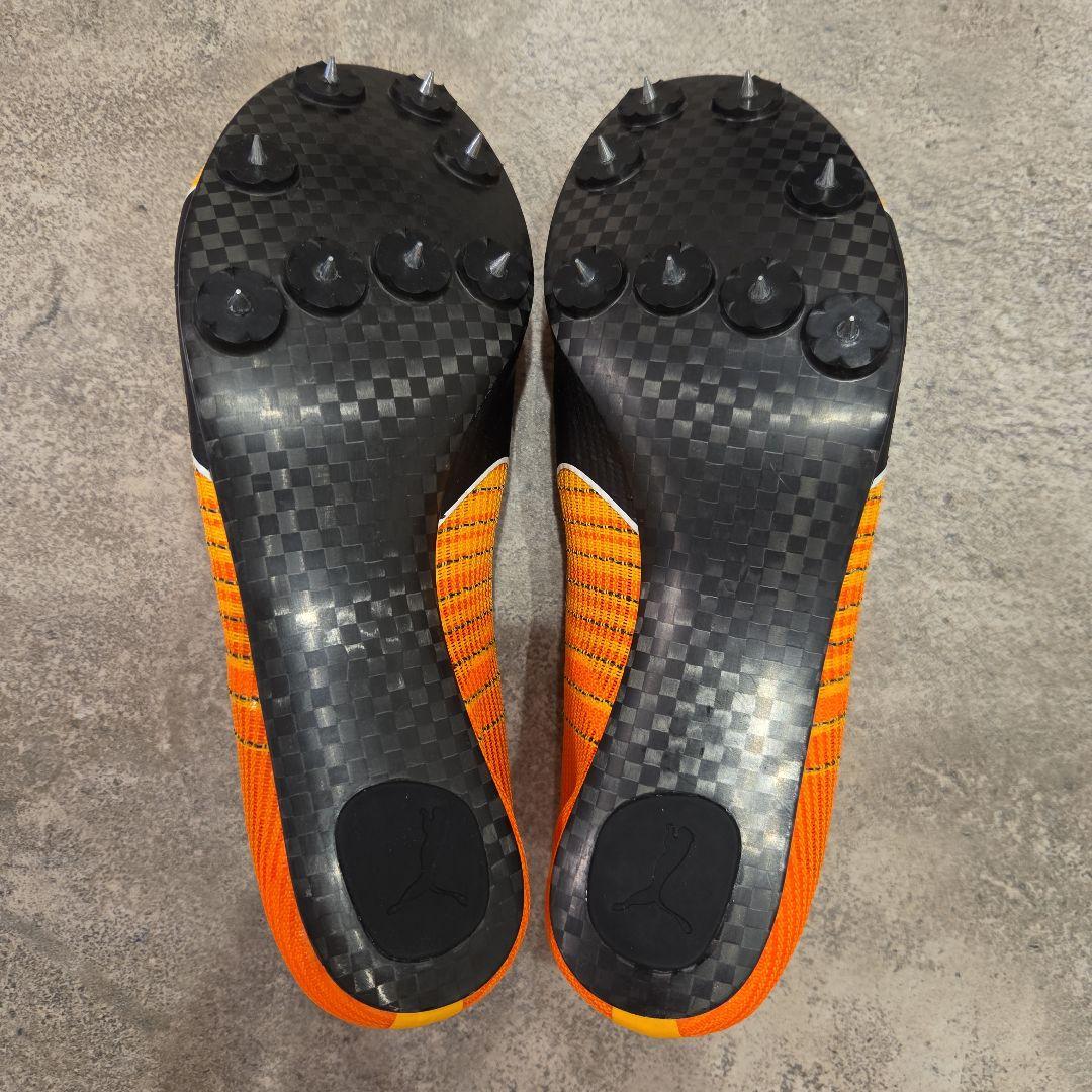EVOSPEED Future Faster+　25.0cm