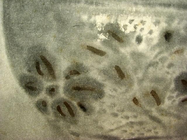 穐月 明 花の絵のある 花瓶 日本画 額装 肉筆 184